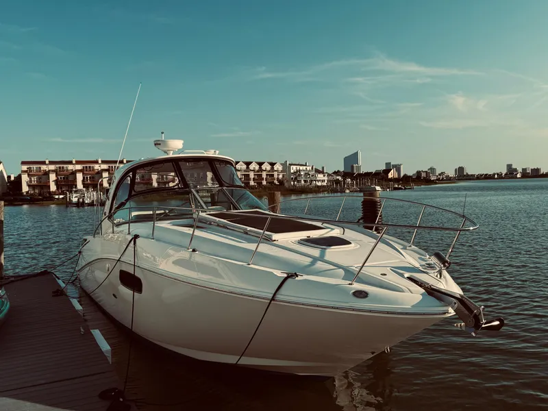 The Image of 2008 Sea Ray 350 Sundancer docked at a marina with cityscape background. - 0