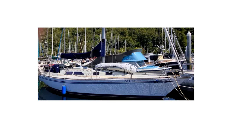 The Image of 1980 Sceptre 36 Athena sailboat docked in a marina, surrounded by other boats. - 0