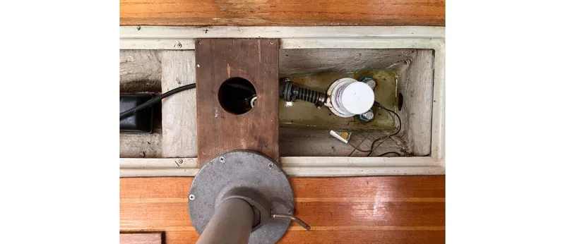 Slide: The Image of Sceptre 36 Athena 1980 - 123