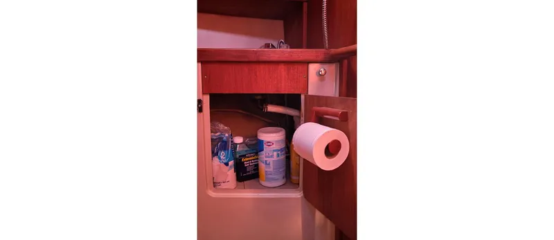 Slide: The Image of Sceptre 36 Athena 1980 - 130