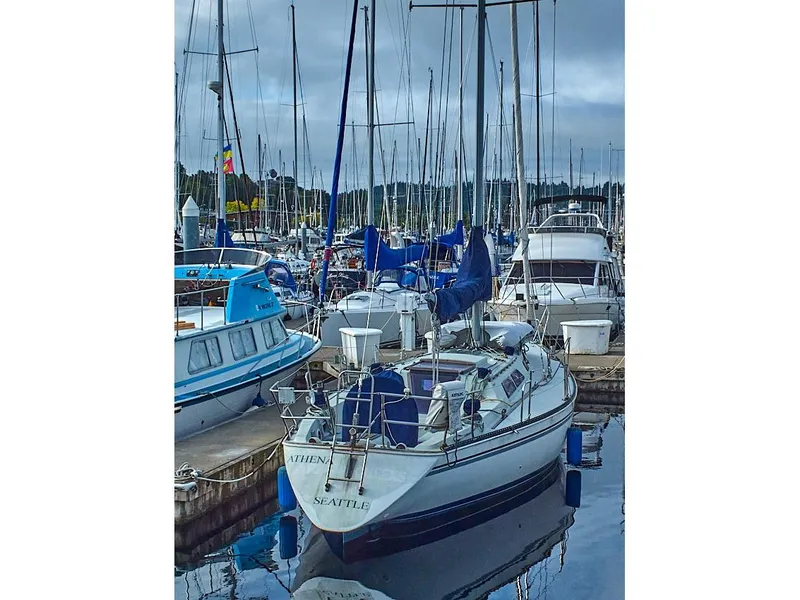 Slide: The Image of Sceptre 36 Athena 1980 - 145