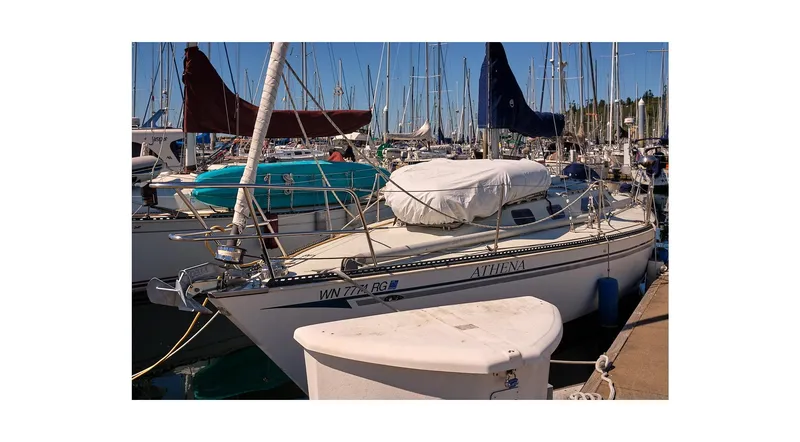 Slide: The Image of 1980 Sceptre 36 Athena sailboat docked in a marina, surrounded by other boats. - 2