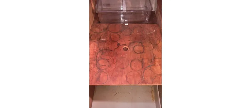 Slide: The Image of Sceptre 36 Athena 1980 - 56