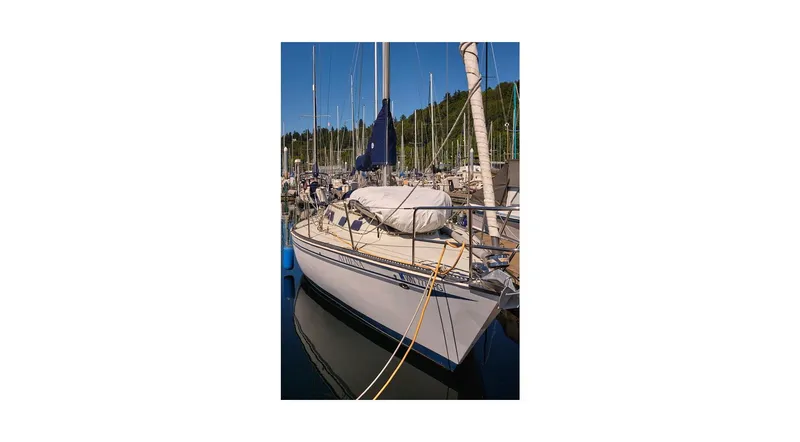 Slide: The Image of 1980 Sceptre 36 Athena sailboat docked in a marina under clear blue skies. - 6