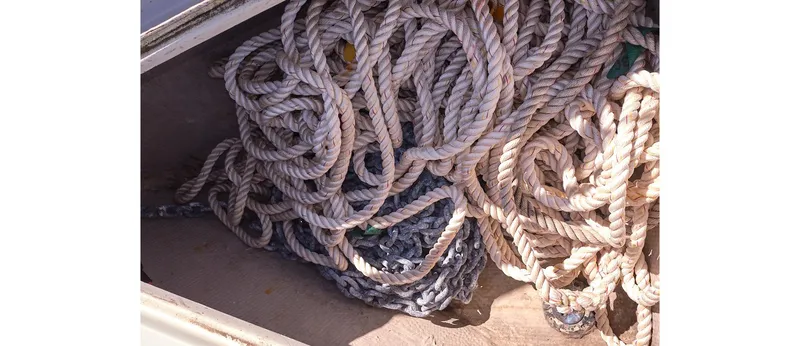 Slide: The Image of Sceptre 36 Athena 1980 - 72