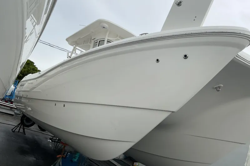 The Image of World Cat 295 CC 2026 - 0