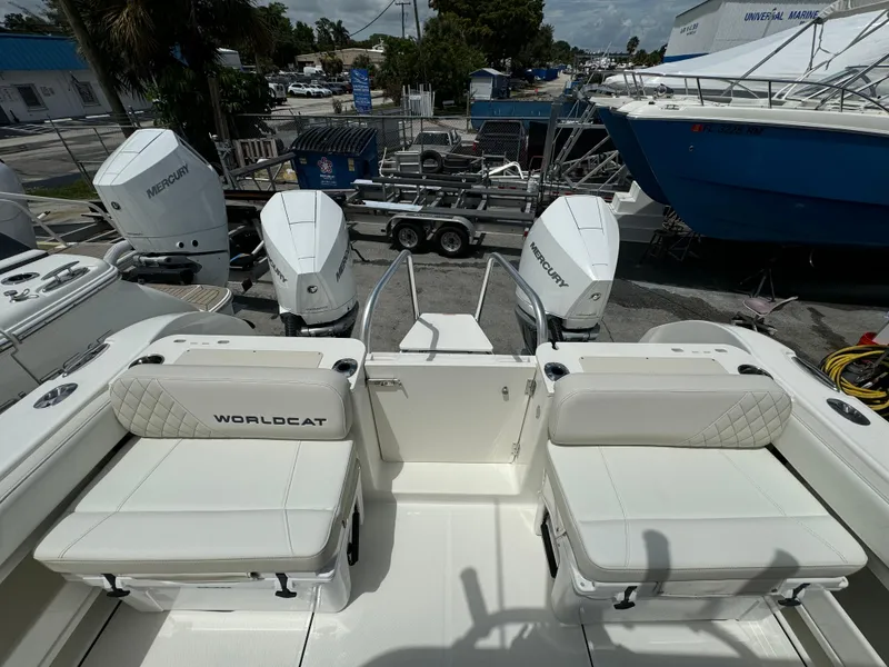 Slide: The Image of World Cat 295 CC 2026 - 12