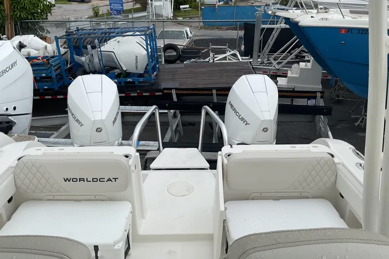 Slide: The Image of World Cat 295 CC 2026 - 13