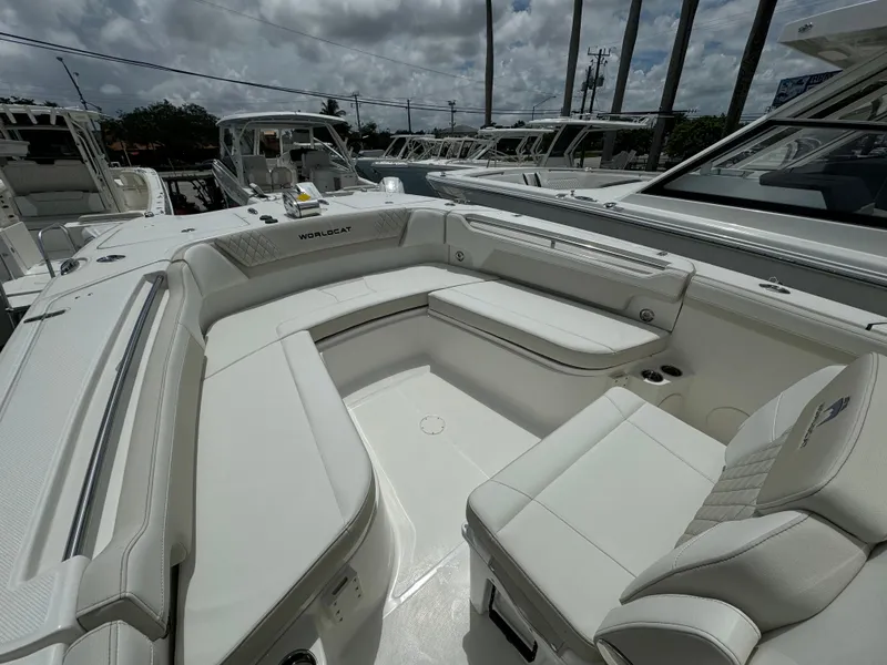 Slide: The Image of World Cat 295 CC 2026 - 17