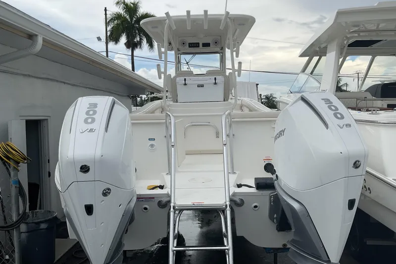 Slide: The Image of World Cat 295 CC 2026 - 2