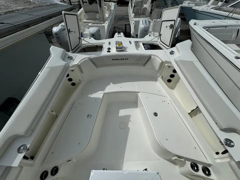 Slide: The Image of World Cat 295 CC 2026 - 20