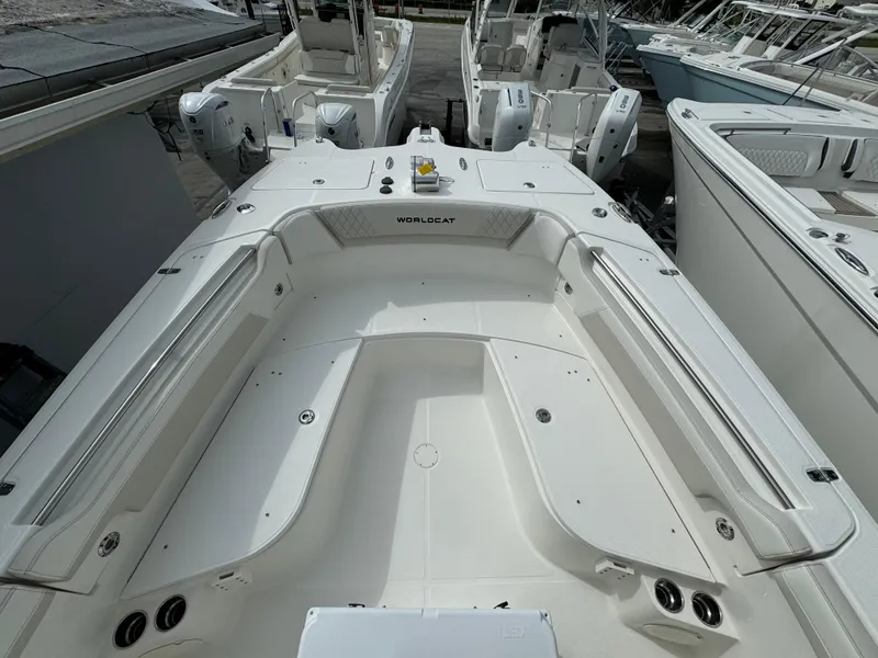 Slide: The Image of World Cat 295 CC 2026 - 22