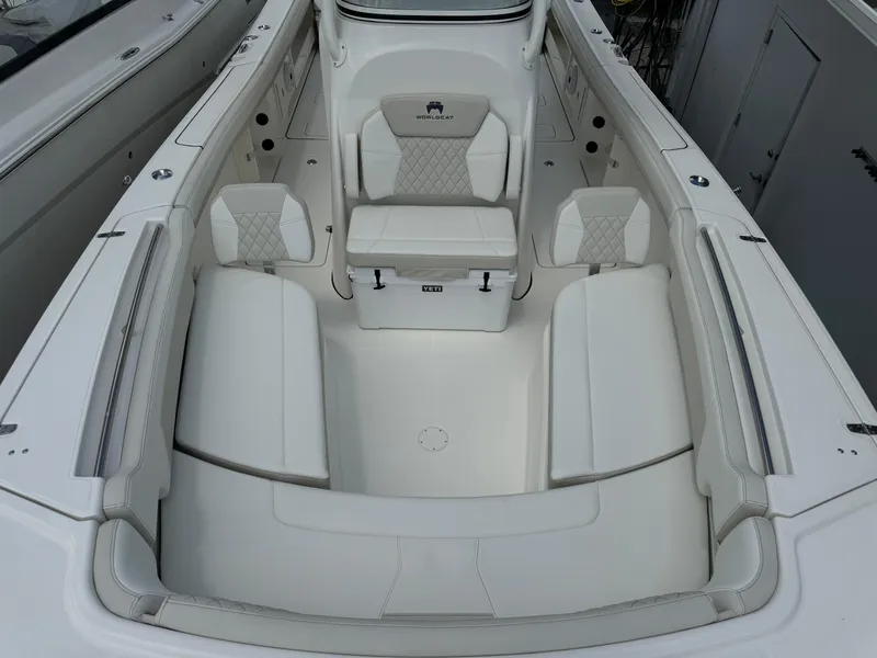 Slide: The Image of World Cat 295 CC 2026 - 26