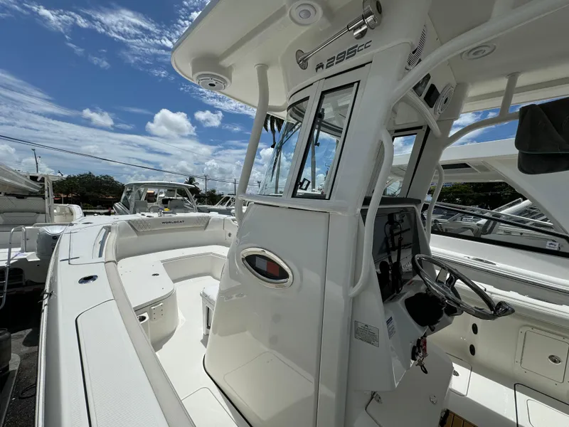 Slide: The Image of World Cat 295 CC 2026 - 3