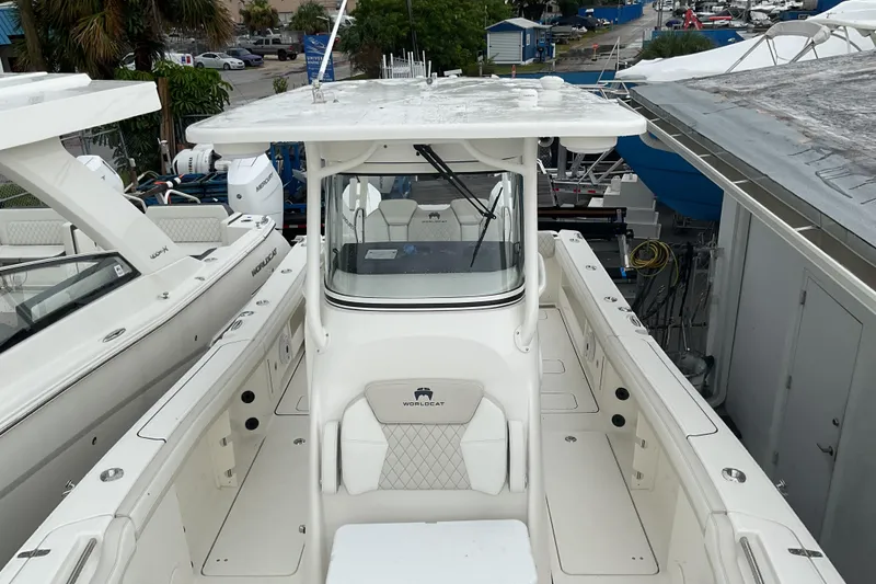 Slide: The Image of World Cat 295 CC 2026 - 30