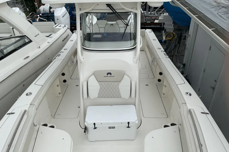 Slide: The Image of World Cat 295 CC 2026 - 31