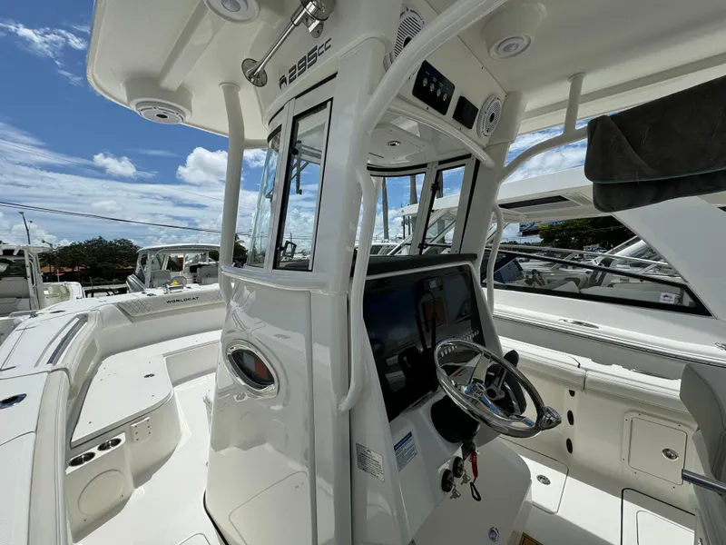 Slide: The Image of World Cat 295 CC 2026 - 4