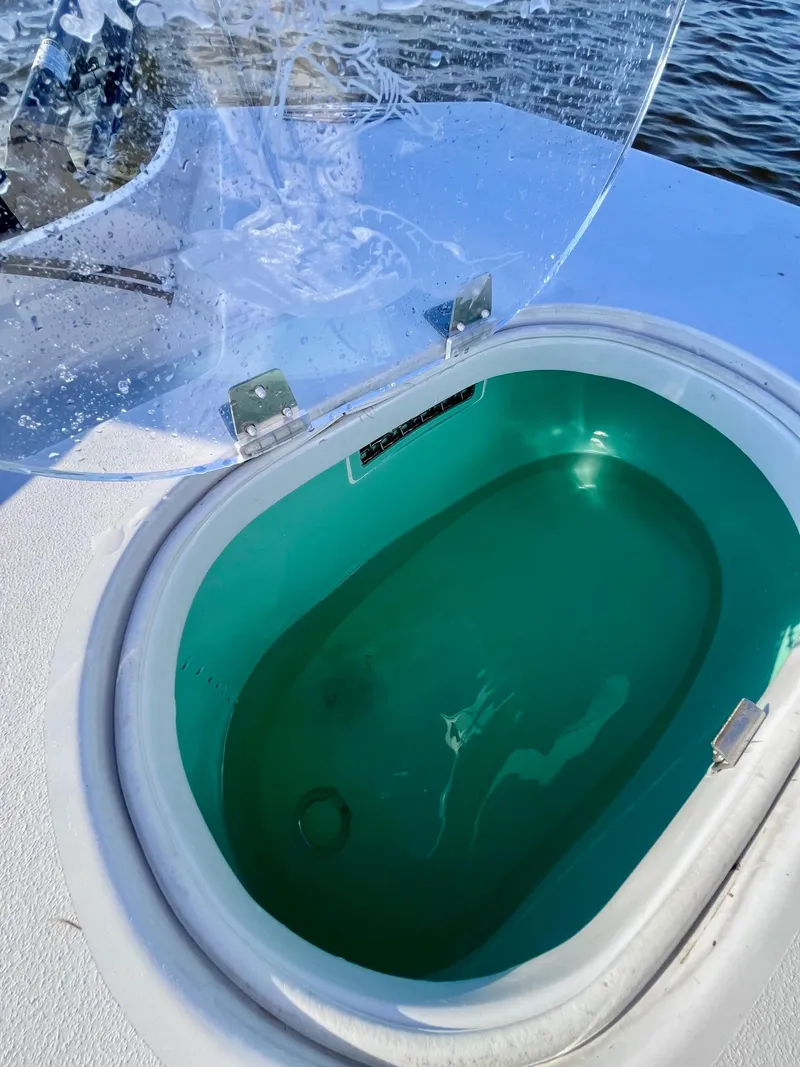 Slide: The Image of Dolphin Flats 2023 - 17