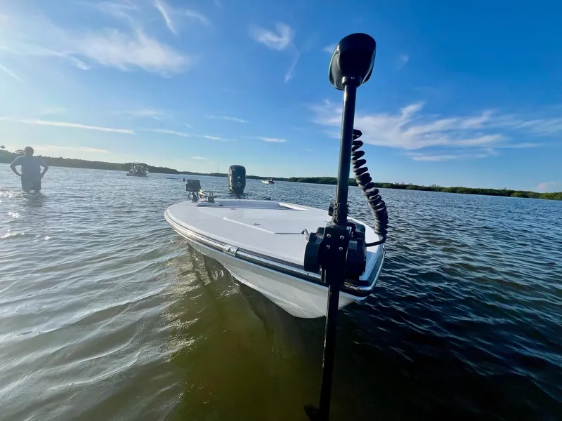 Slide: The Image of Dolphin Flats 2023 - 24