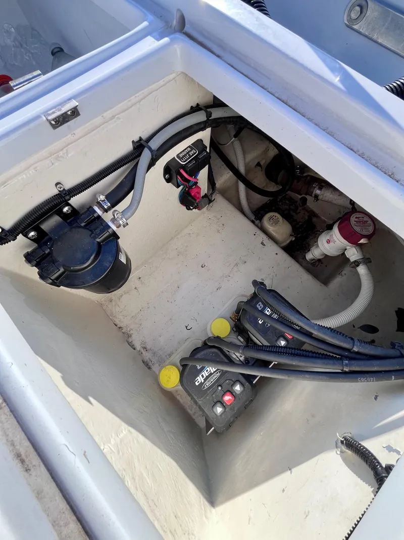 Slide: The Image of Dolphin Shipoke-Green HE 1979 - 16