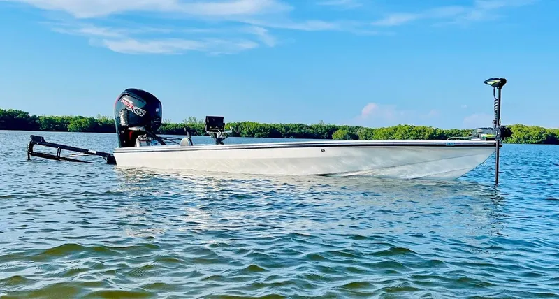 Slide: The Image of Dolphin Shipoke-Green HE 1979 - 2