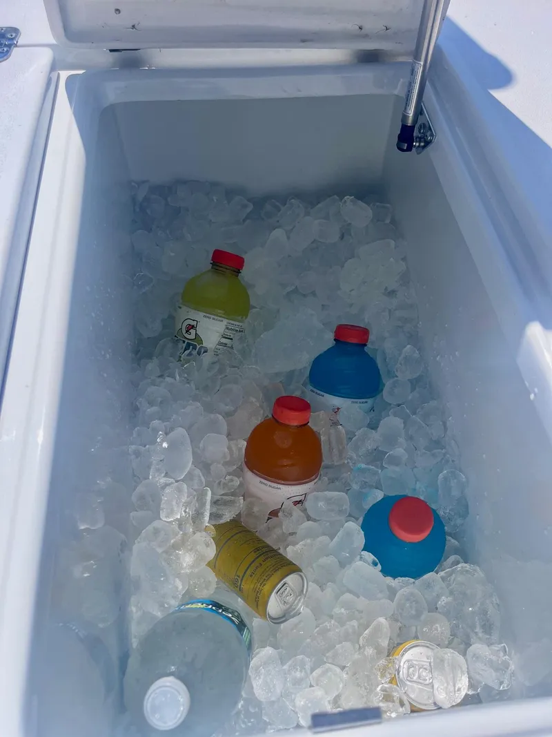 Slide: The Image of Dolphin Shipoke-Green HE 1979 - 3