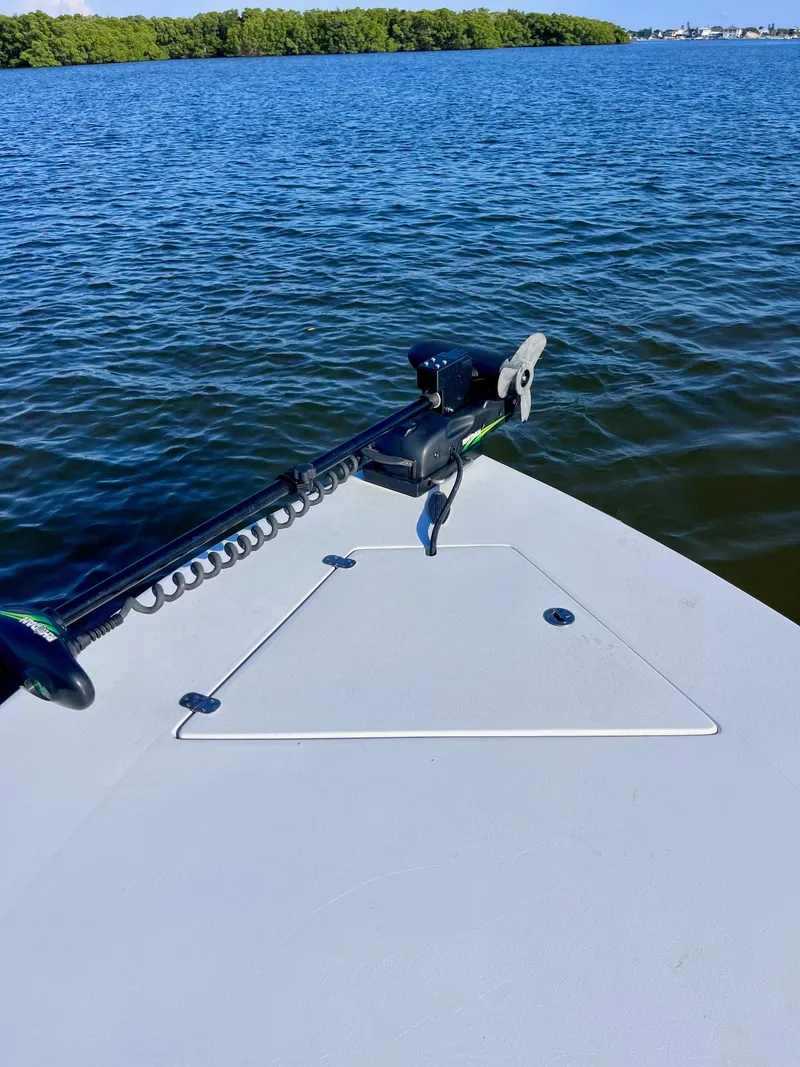 Slide: The Image of Dolphin Shipoke-Green HE 1979 - 4