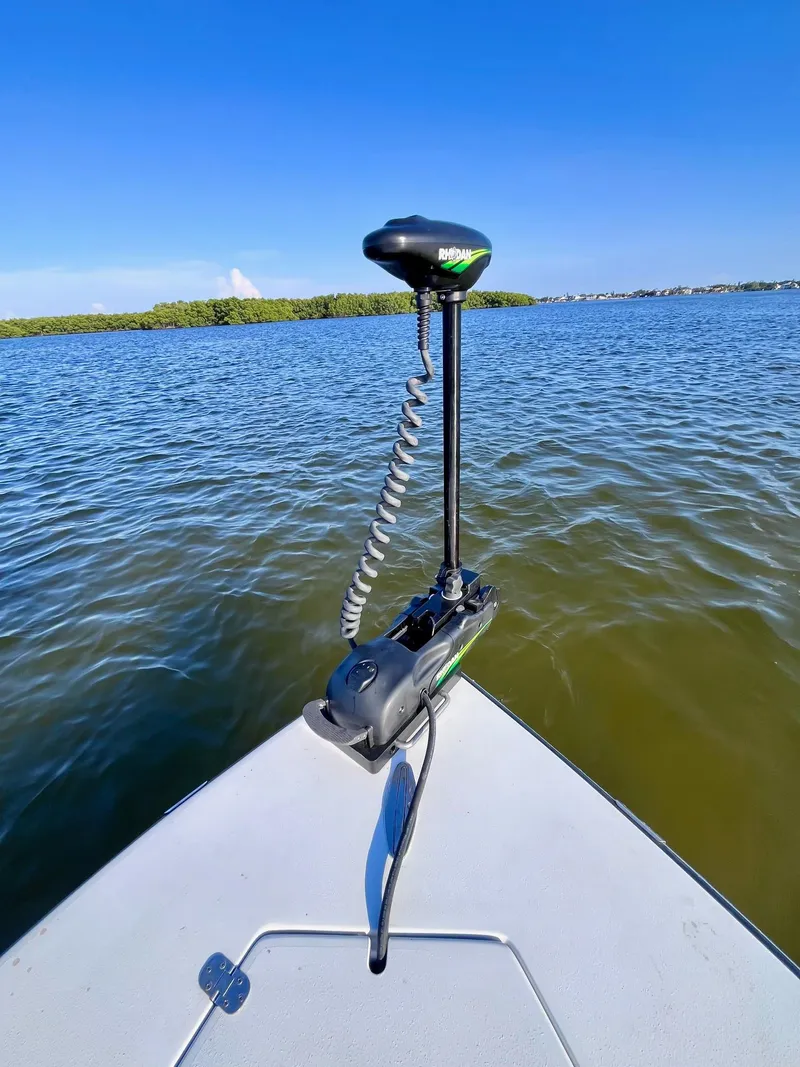 Slide: The Image of Dolphin Shipoke-Green HE 1979 - 7