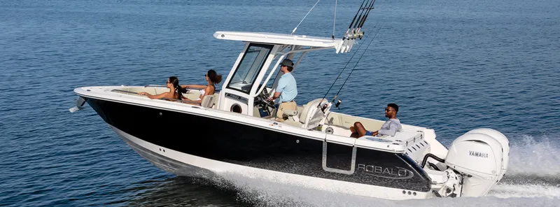 The Image of Robalo R250 2027 - 0