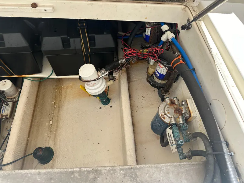 Slide: The Image of Stamas 317 Tarpon 2013 - 51