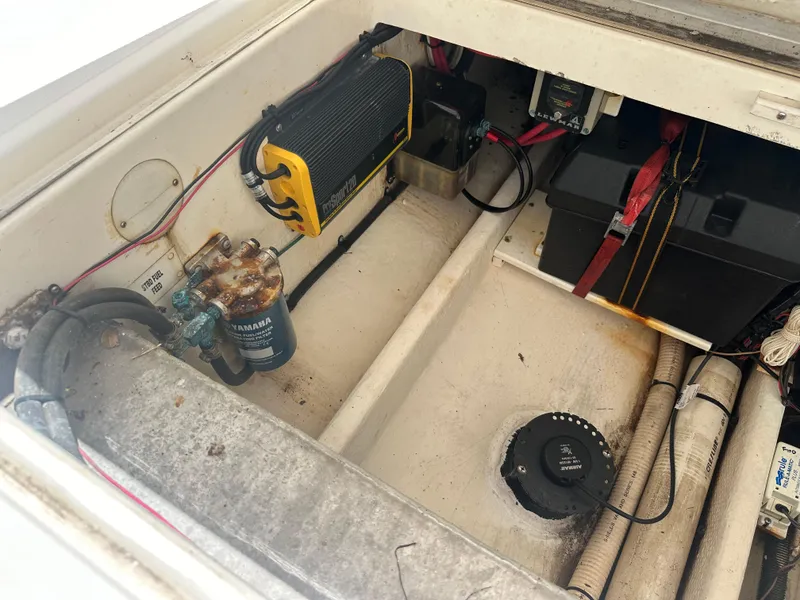 Slide: The Image of Stamas 317 Tarpon 2013 - 53