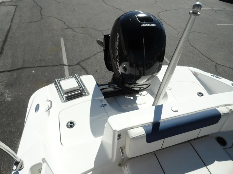 Slide: The Image of 2020 Tahoe 1950 boat with Mercury outboard motor, rear view. - 18