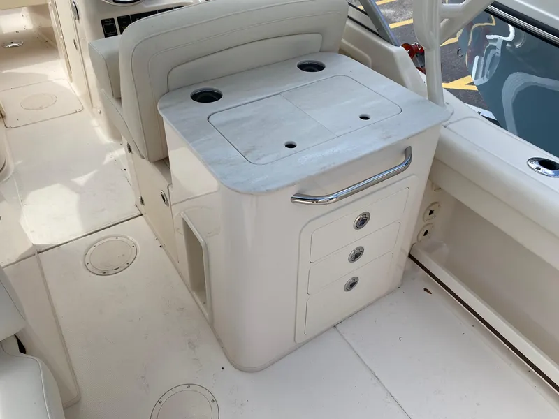 Slide: The Image of Grady-White Freedom 255 2025 - 8