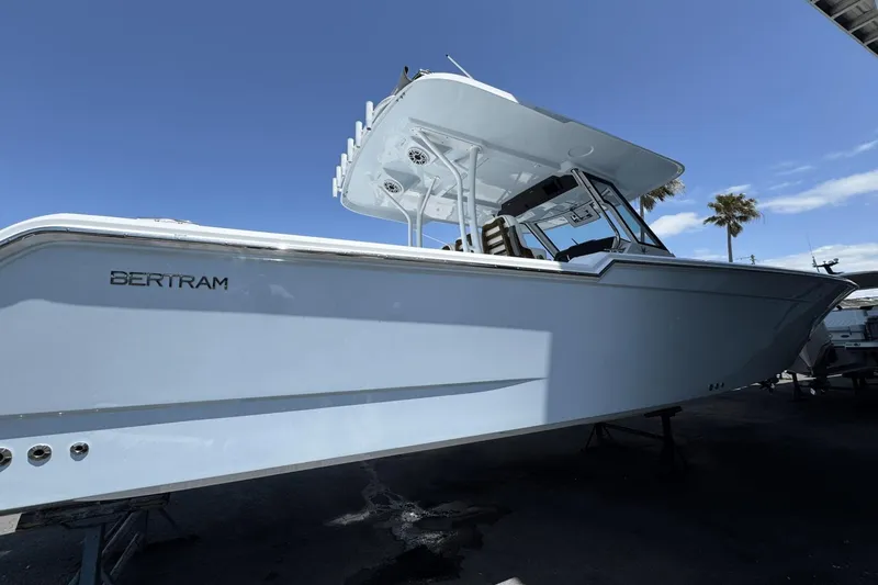 Slide: The Image of Bertram 34CC 2025 - 3