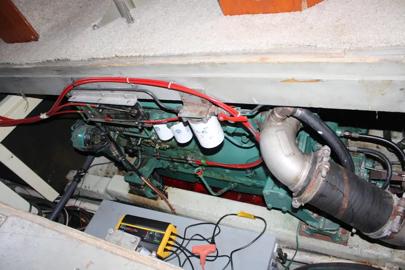 Slide: The Image of Birchwood 42 Empress 1986 - 60