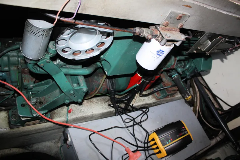 Slide: The Image of Birchwood 42 Empress 1986 - 61