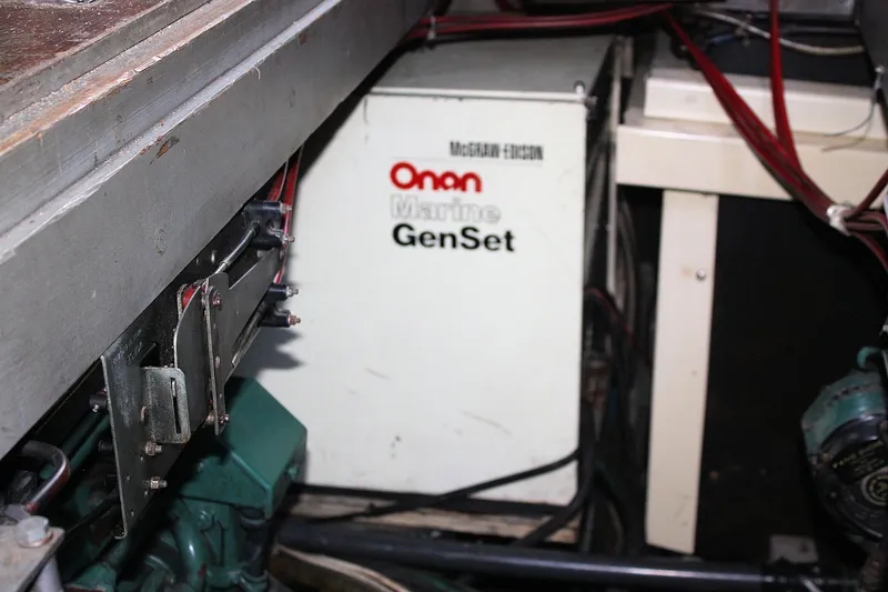 Slide: The Image of Birchwood 42 Empress 1986 - 62