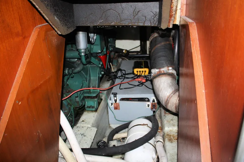 Slide: The Image of Birchwood 42 Empress 1986 - 64