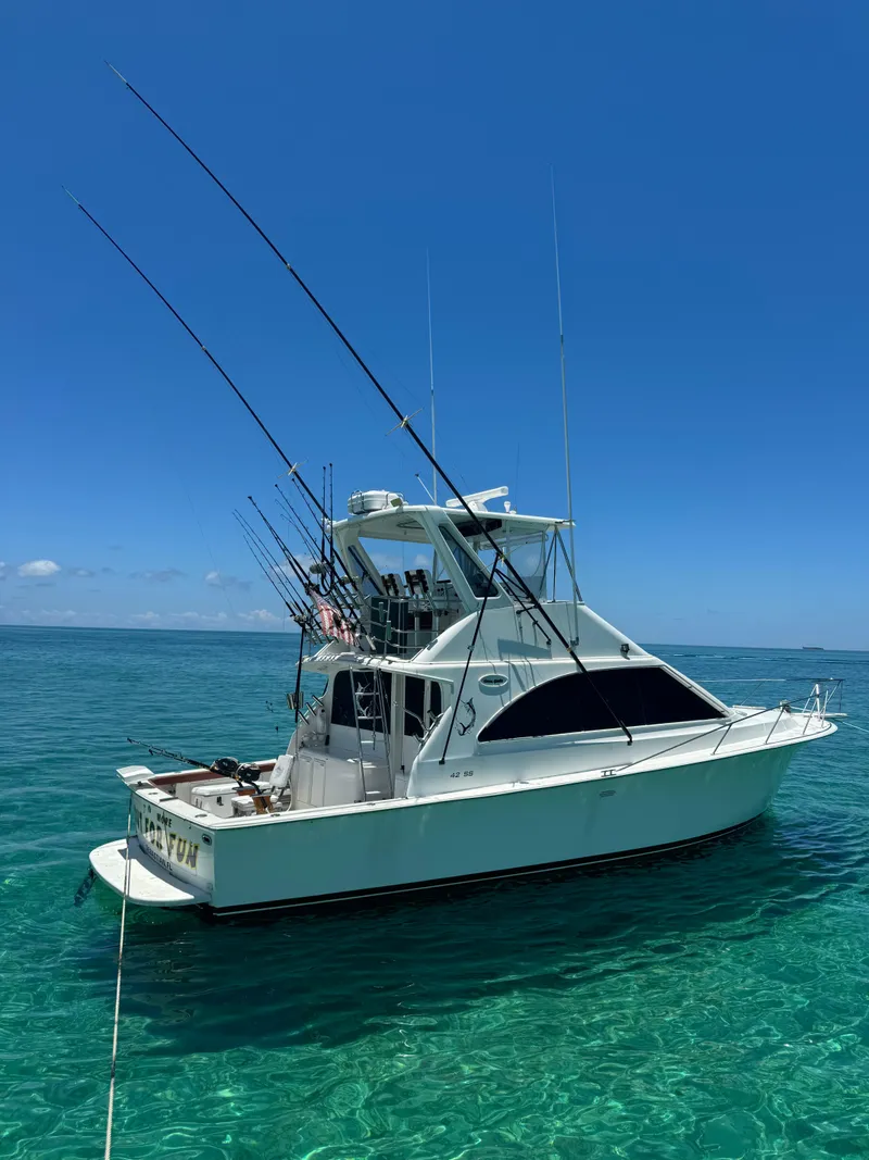 Slide: The Image of Ocean 42 sportsfish 1995 - 3