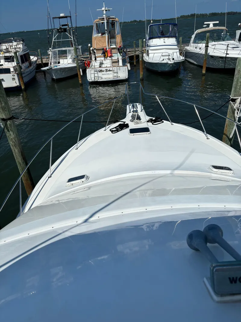 Slide: The Image of Ocean 42 sportsfish 1995 - 4