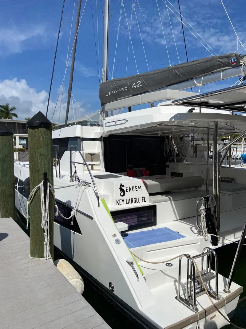 The Image of Leopard 42 2021 - undefined