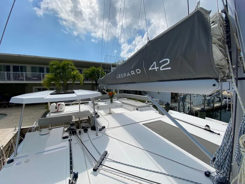 Slide: The Image of Leopard 42 2021 - 10