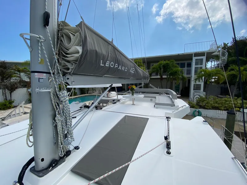 Slide: The Image of Leopard 42 2021 - 11