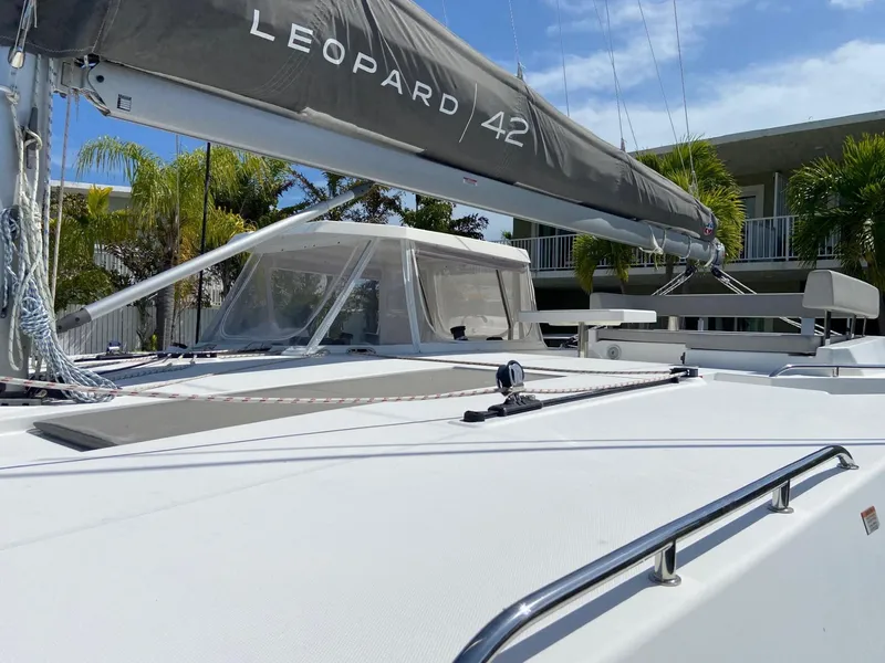 Slide: The Image of Leopard 42 2021 - 12