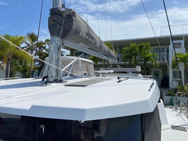 Slide: The Image of Leopard 42 2021 - 13