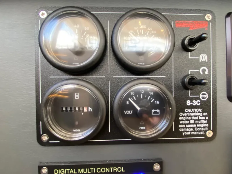 Slide: The Image of Leopard 42 2021 - 38