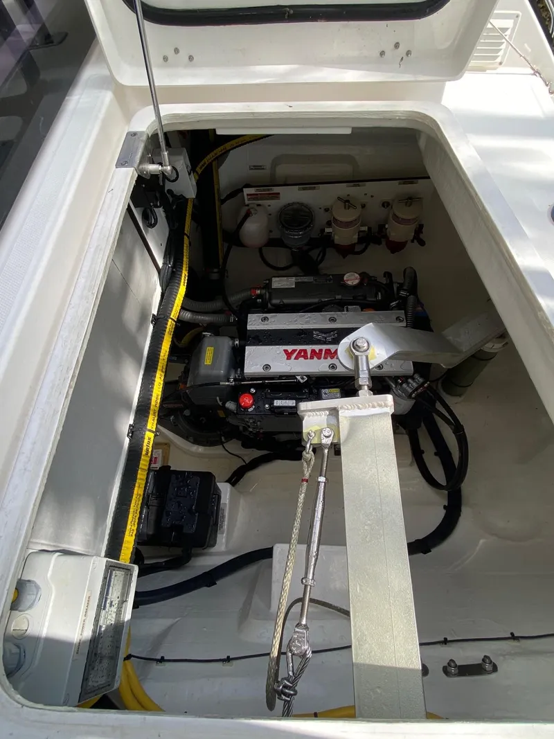 Slide: The Image of Leopard 42 2021 - 54