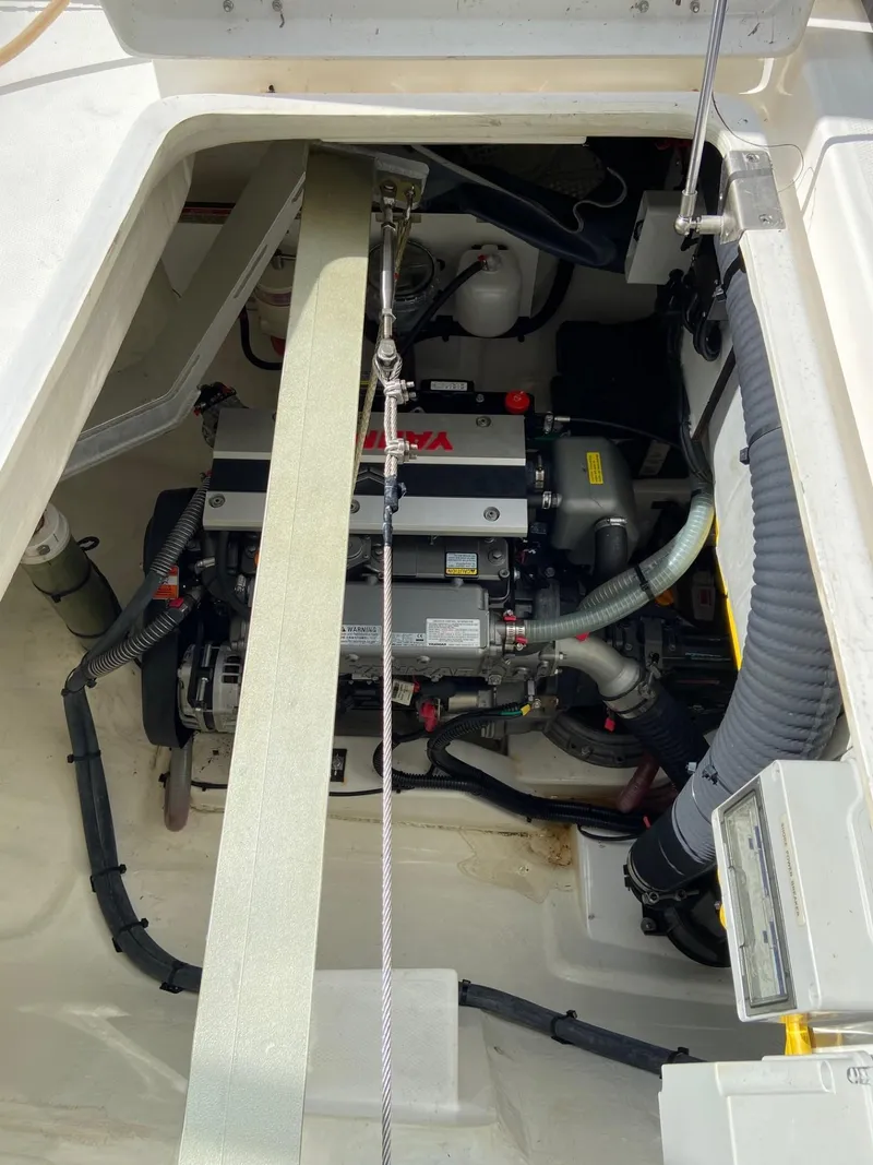 Slide: The Image of Leopard 42 2021 - 55