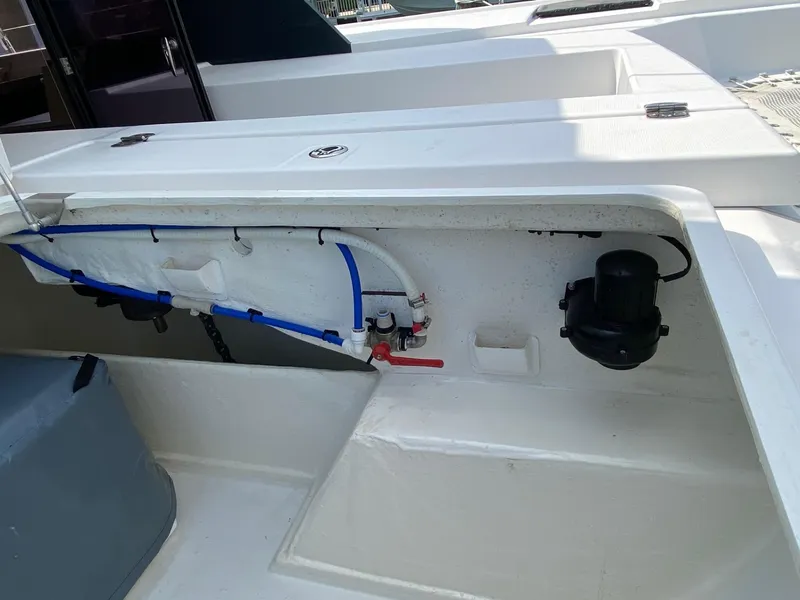 Slide: The Image of Leopard 42 2021 - 57