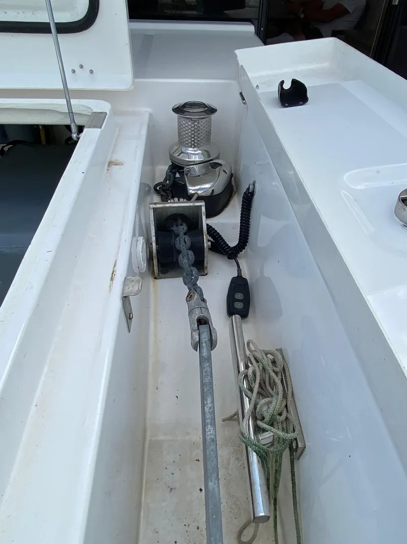 Slide: The Image of Leopard 42 2021 - 58